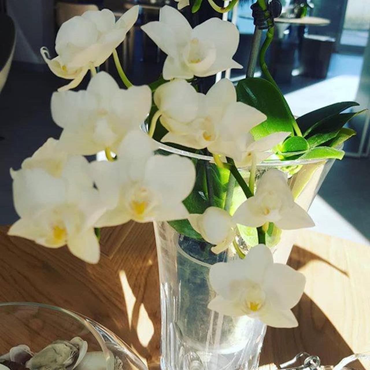 Hotel Villa Barsanti Pietrasanta Dış mekan fotoğraf